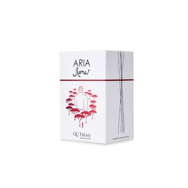 aria roma 500 ml - v20 art edition