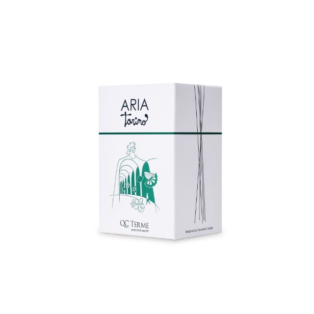 aria torino 500 ml - v20 art edition