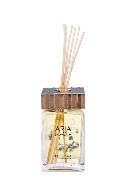 aria prè saint didier 250 ml - v20 art edition