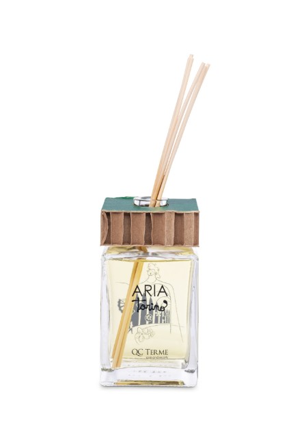 aria torino 250 ml - v20 art edition