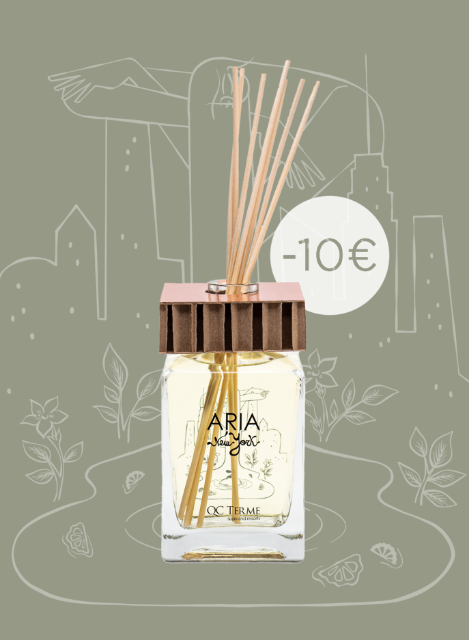 aria new york 250ml - v21 art edition